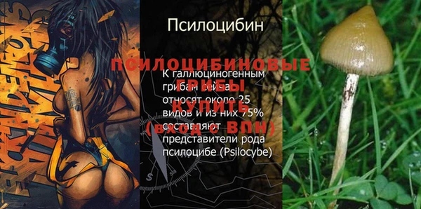 ALPHA-PVP Бородино