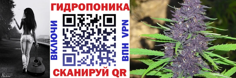 Бошки Шишки White Widow  Купить где  Алзамай 